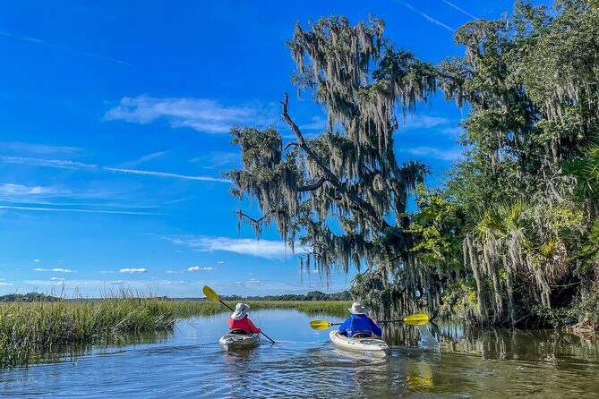 Hilton Head Outback Boat and Kayak Adventure - An In-Depth Look at the Hilton Head Outback Boat and Kayak Adventure