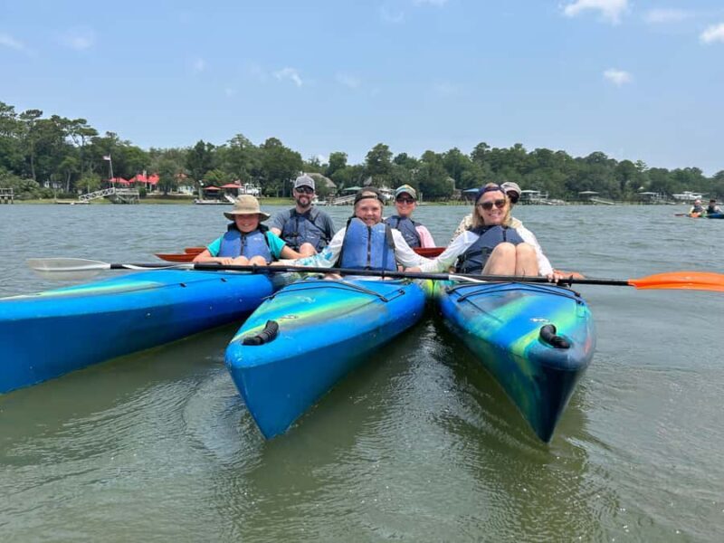 Hilton Head: Private 2-Hour Kayak Dolphin Nature Tour - The Experience in Detail