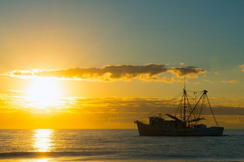 Hilton Head: Private 2-hour Sunset Cruise - Who Will Love This Tour?