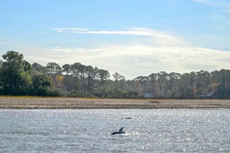 Hilton Head: Private Dolphins & Tubing Adventure - Key Points