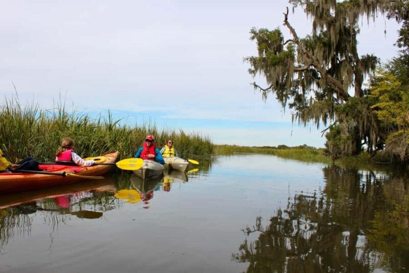 Hilton Head: Private Outback Kayak Tour - Key Points