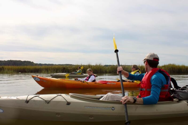 Hilton Head: Private Outback Kayak Tour - Price Analysis: Is It Worth It?