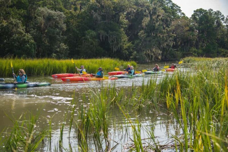 Hilton Head: Private Outback Kayak Tour - Final Thoughts