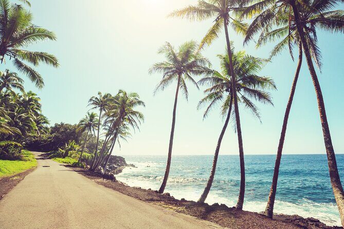 Hire Photographer. Professional Photo Shoot - Island Of Hawaii - Key Points