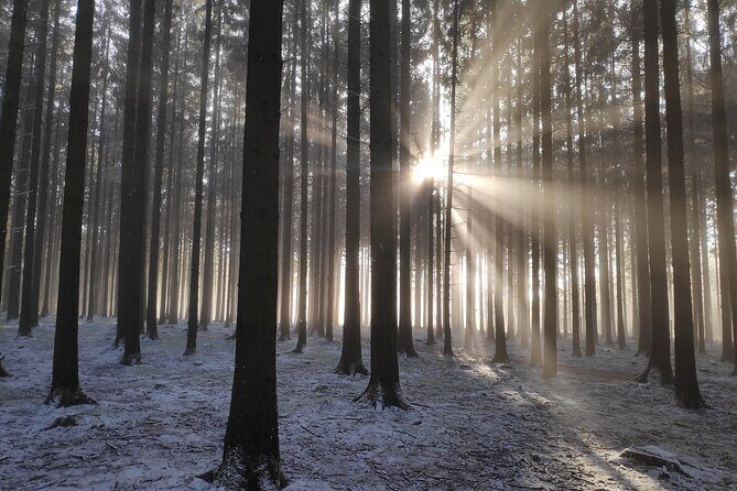 Historic Battle of the Bulge Sites Tour from Luxembourg - FAQs