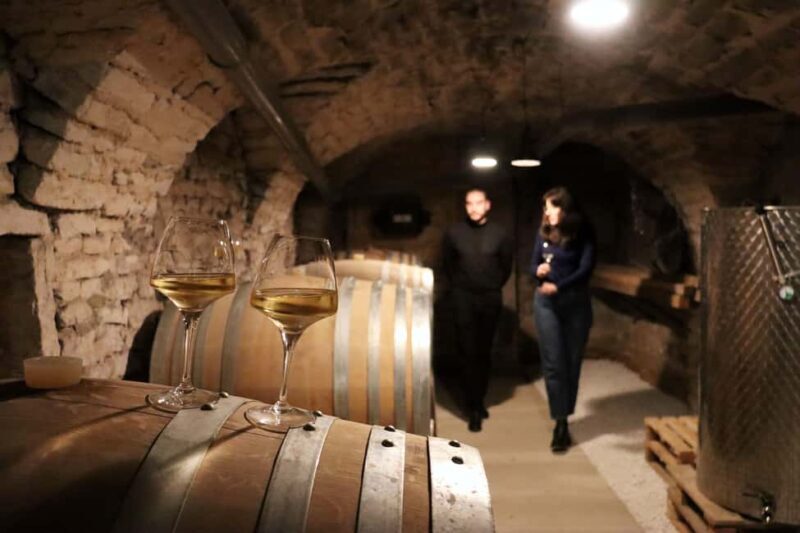 Historic Center of Dijon : Discovery Tasting Wine Burgundy - The Value of the Experience