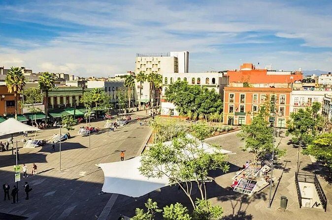 Historic Center of Mexico City Private Walking Tour - Who This Tour is Best For