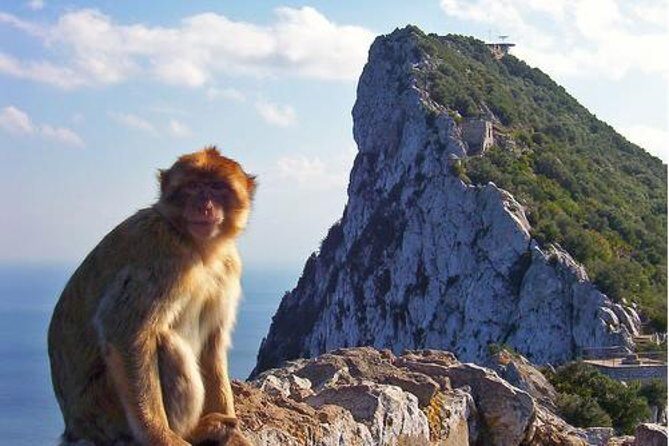Historic Gibraltar Rock and St Michael's Cave Tour from Seville - Who Will Love This Tour?