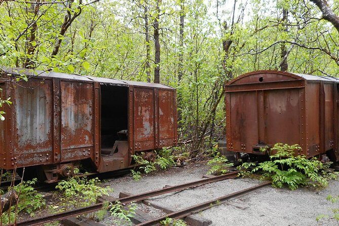 Historic Gold Mining and Panning Adventure - Who Is This Tour Best For?