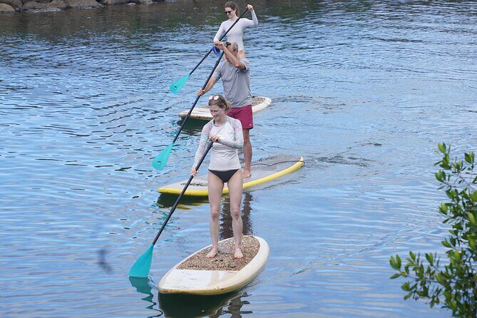 Historic Haleiwa Rainbow Bridge Stand Up Paddle (Anahulu River) - An Overview of What to Expect