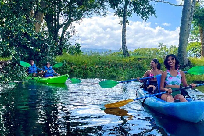 Historic Hilo Bay and Coconut Island Guided Kayak Adventure - Key Points