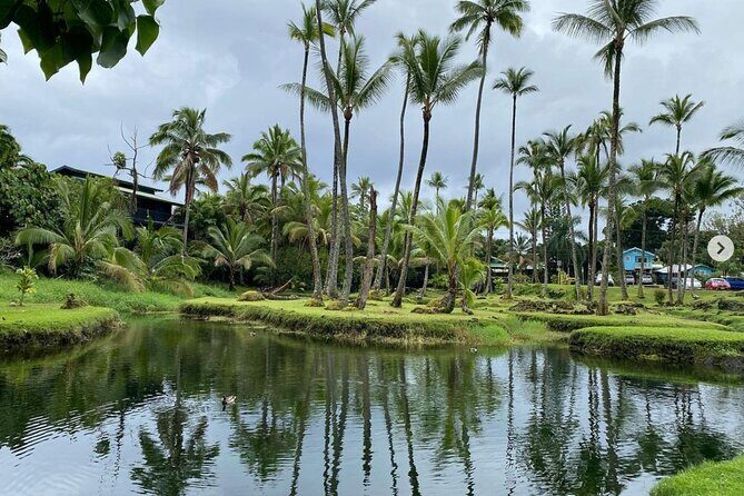 Historic Hilo Bay and Coconut Island Guided Kayak Adventure - What to Expect from the Hilo Bay and Coconut Island Kayak Adventure