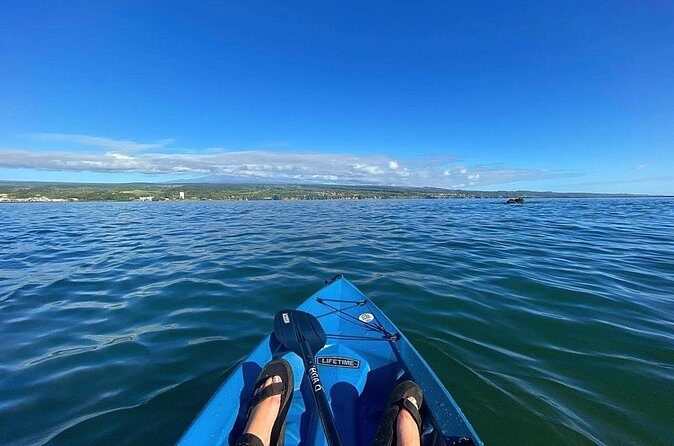 Historic Hilo Bay and Coconut Island Guided Kayak Adventure - Real Traveler Insights and Candid Opinions