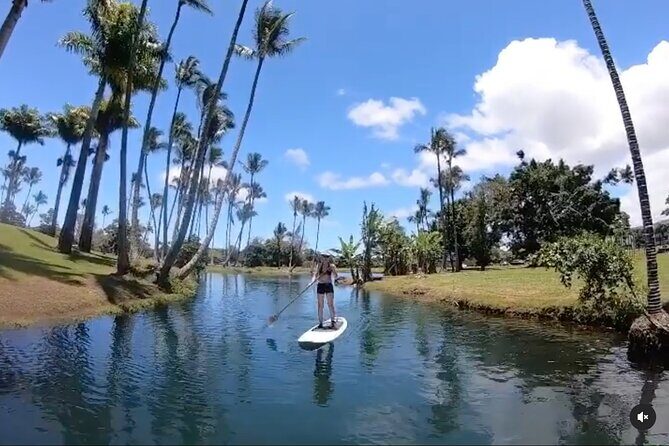 Historic Hilo Bay & Coconut Island SUP Adventure - Practical Details
