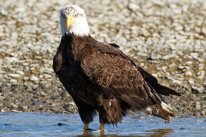 Historic Mail Route Tour - Final Thoughts