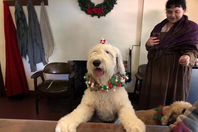 Historic Museum Tour Ticket - Who Will Love This Tour?