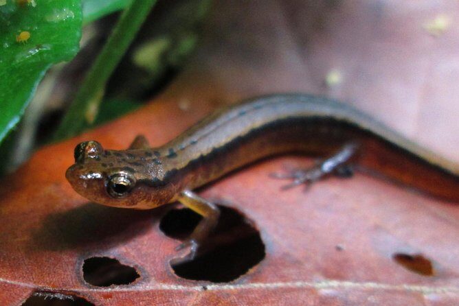 Historic River Town Ramble - Key Points