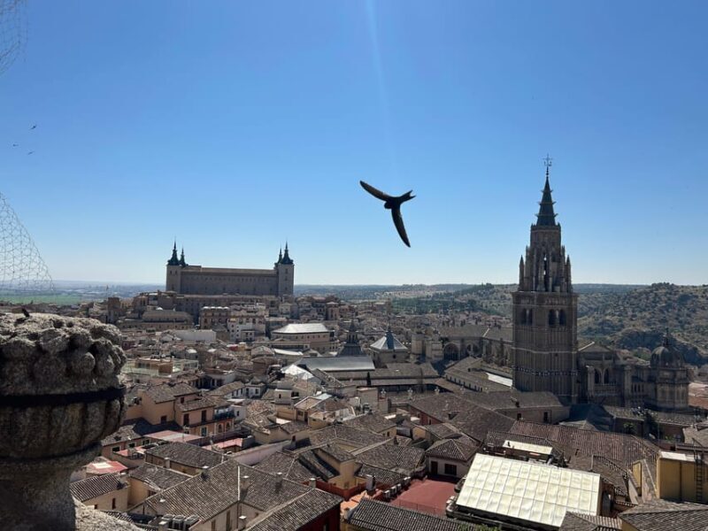 Historic Toledo: Cathedral and Museums in groups of maximum 10 people. - Key Points