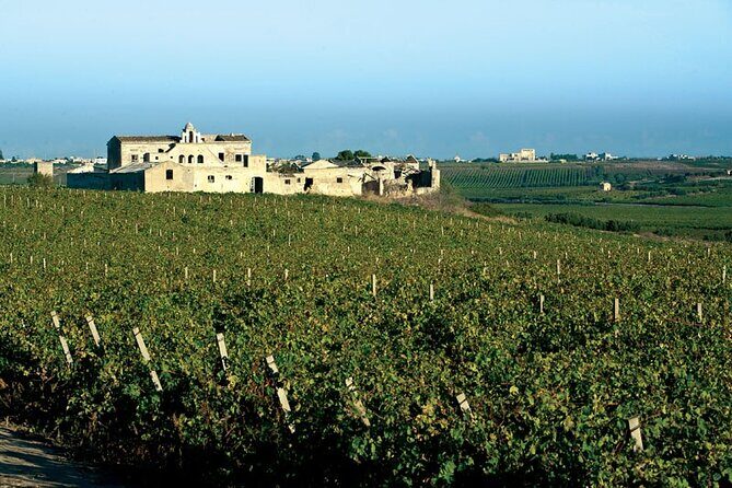 Historic winery visit with food and wine tasting in Marsala - A Closer Look at the Experience