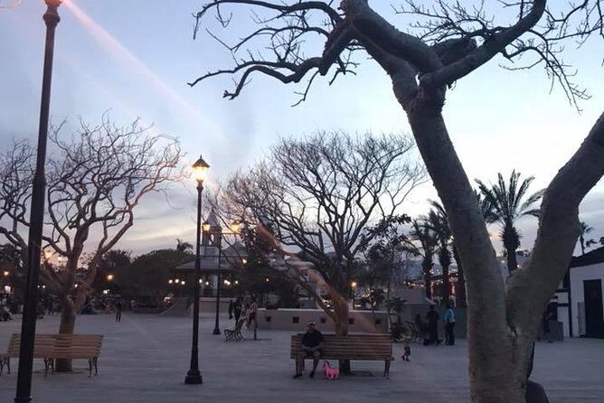 Historical and Cultural Walking Tour of San José del Cabo - FAQ