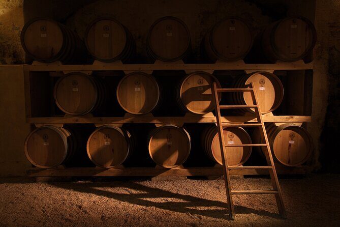 Historical Cellar Visit and Wine Tasting in Salento - Exploring the Authentic Taste of Puglia: A Review of the Castel di Salve Wine Tour