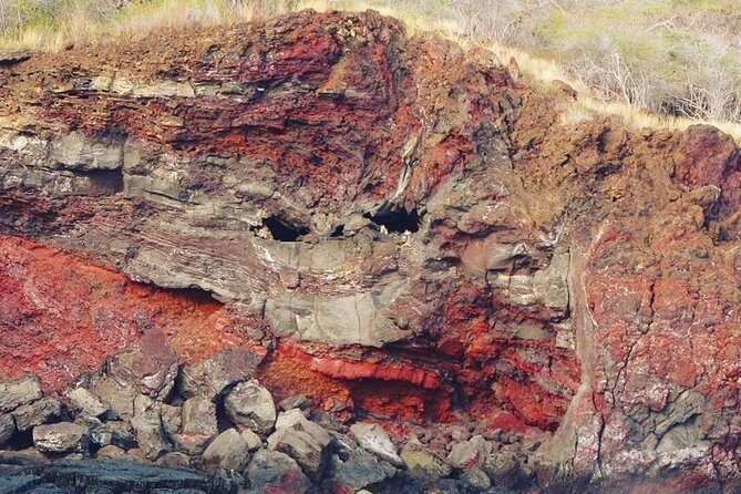 Historical Dinner Cruise to Kealakekua Bay - Final Thoughts: Who Will Love This?