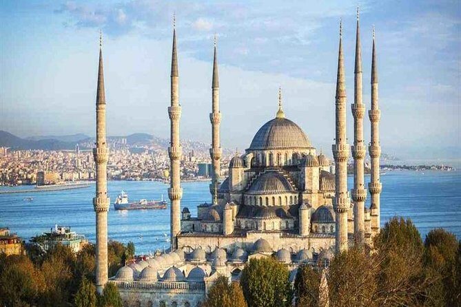 Historical Istanbul Old City Tour from Hotels & Cruise Port - Who Will Love This Tour?