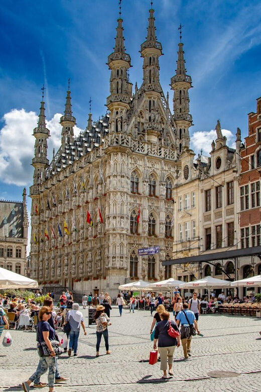 Historical Leuven: Private Tour with Local Guide - Who Should Consider This Tour?