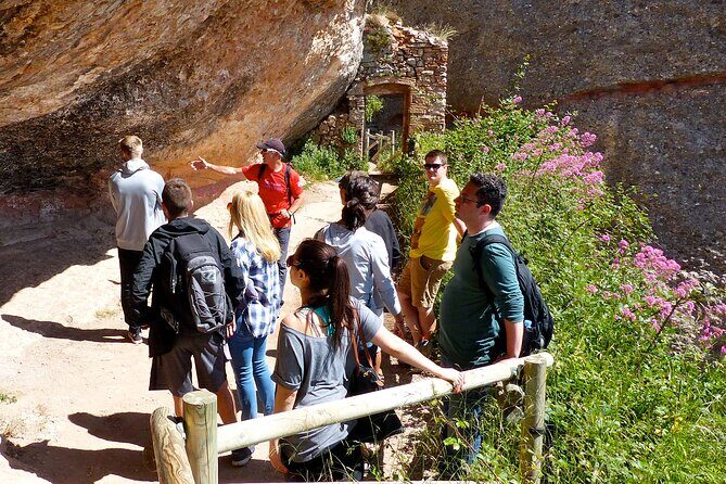 Historical Montserrat Half-Day Hiking Tour from Barcelona - Understanding the Value: Price, Guides, and Logistics