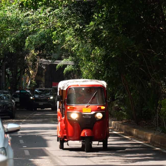 Historical Tour in Tuktuk  Roma Condesa - Key Points