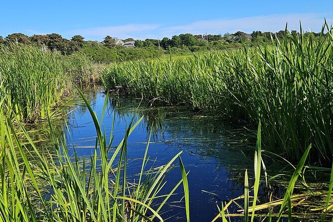 Historical Tour of Nantucket - What to Expect from the Nantucket Historical Tour