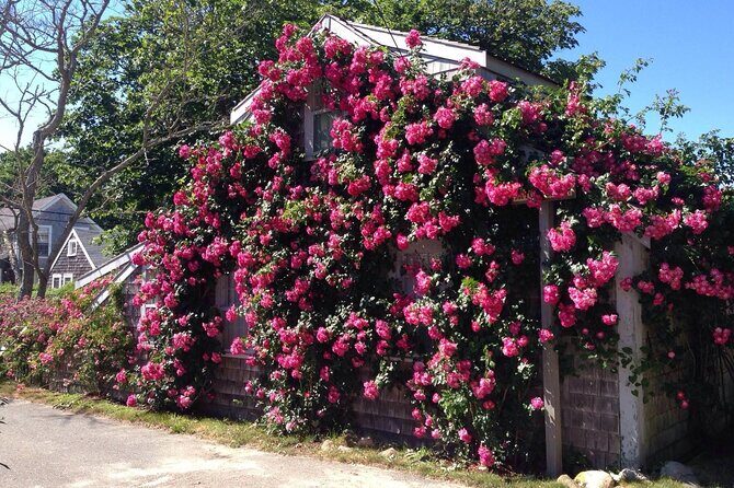 Historical Tour of Nantucket - The Experience’s Pros and Cons