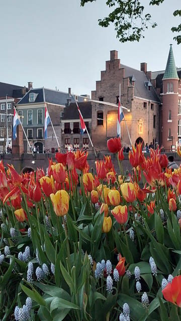 Historical Tour of The Hague - Key Points