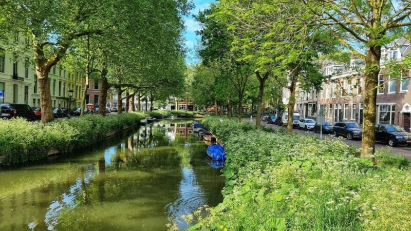 Historical Utrecht: Private Tour with Local Guide - What to Expect from the Tour