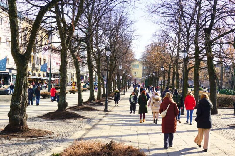 History and Secrets of Oslo Tour - Practical Tips for Your Tour