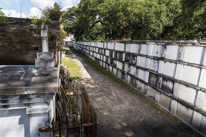 History of New Orleans Private Driving & Walking Tour - What to Expect from the Tour