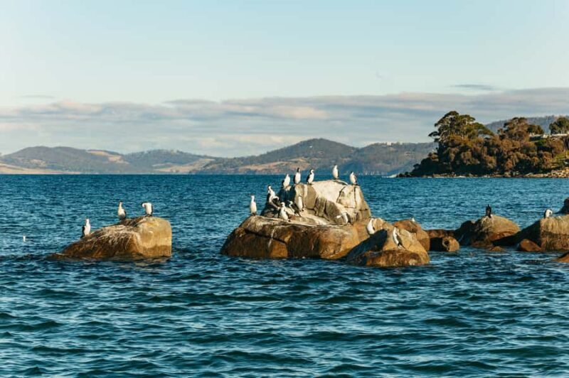 Hobart: 2.5-hour Iron Pot Lighthouse Cruise - What You Can Expect on the Water