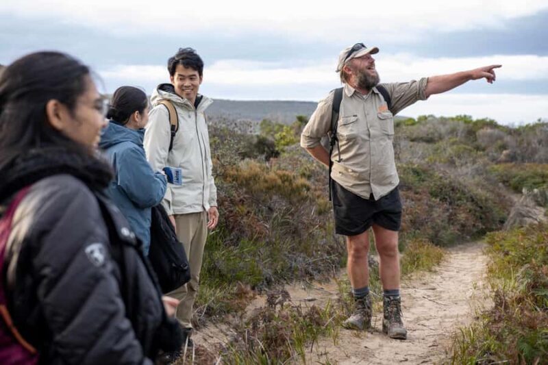 Hobart: Bruny Island Adventure: Hike, Highlights & Tastes - Exploring the Best of Bruny Island