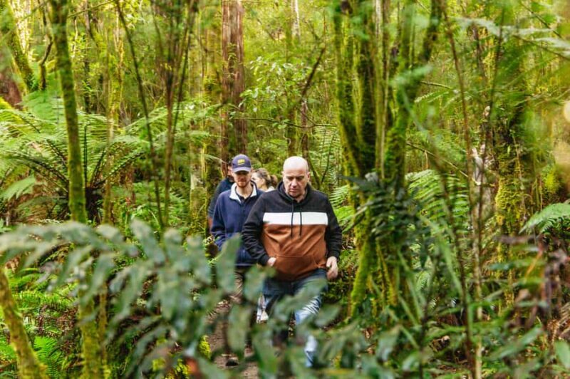 Hobart: Bruny Island Gourmet Sightseeing Day Tour - Key Points