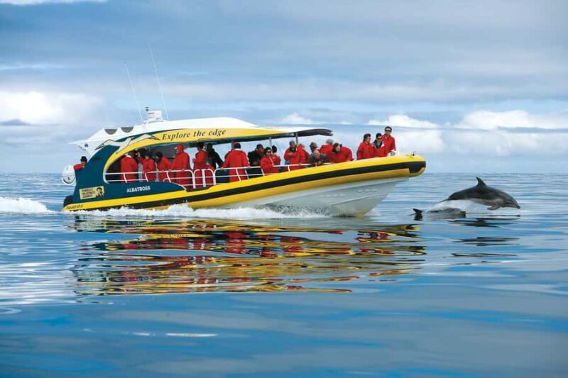 Hobart: Bruny Island Wilderness Coast Eco Cruise with Lunch - What’s Included and How It’s Structured