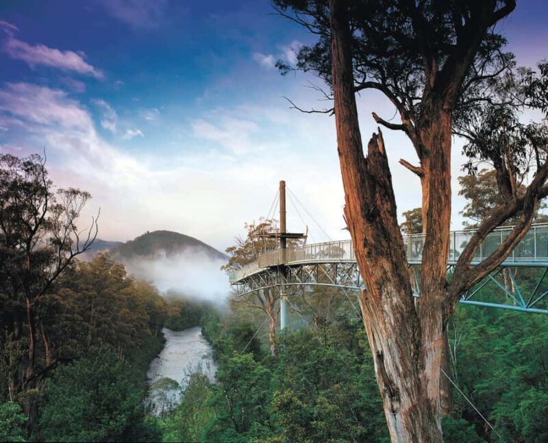 Hobart: Hastings Cave, Tahune Airwalk and Huon Tasting Trail - An Overview of the Day Trip Experience