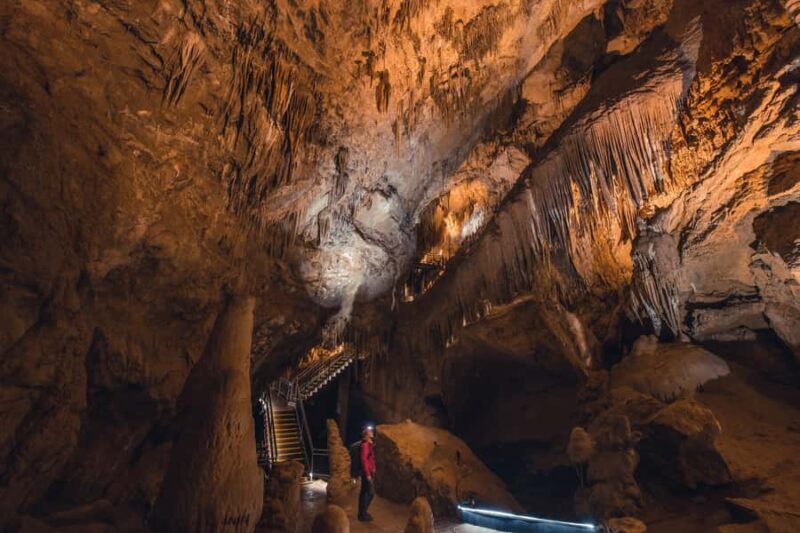 Hobart: Hastings Cave, Tahune Airwalk and Huon Tasting Trail - FAQs