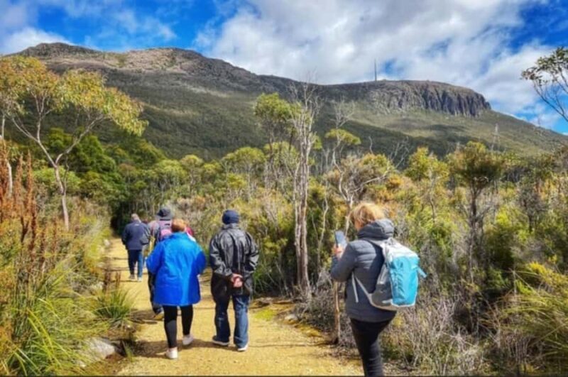 Hobart: Hobart, Richmond, & Bonorong Wildlife Sanctuary Tour - Exploring Hobart’s Highlights
