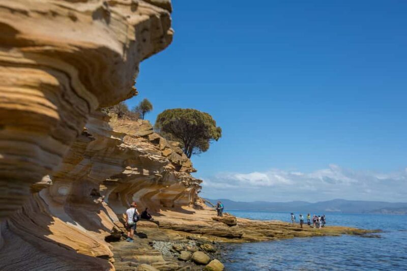 Hobart: Maria Island National Park Active Full-Day Tour - Key Points