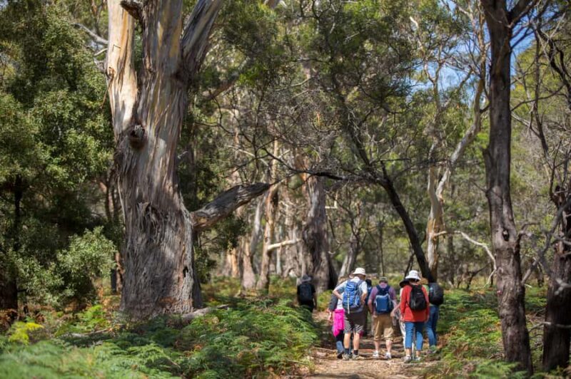 Hobart: Maria Island National Park Active Full-Day Tour - Getting Started: What to Expect on the Day