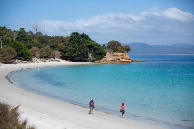 Hobart: Maria Island National Park Active Full-Day Tour - Wildlife Encounters