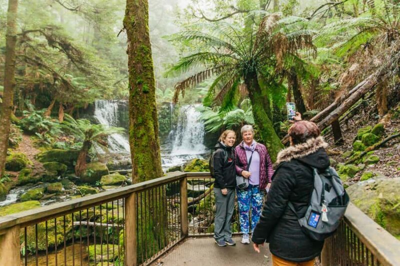 Hobart: Mt Wellington, Mt Field, Bonorong and Richmond Trip - Authentic Feedback From Travelers