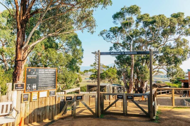 Hobart: Mt Wellington, Mt Field, Bonorong and Richmond Trip - FAQ