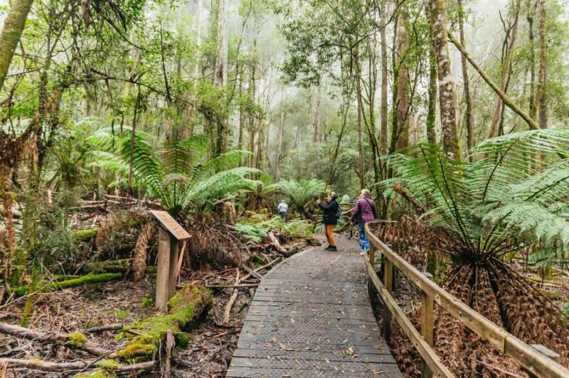 Hobart: Mt Wellington, Mt Field, Bonorong and Richmond Trip - Final Words