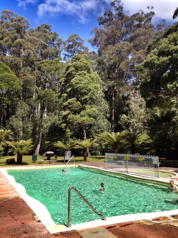 Hobart: Tahune Airwalk, Hastings Cave, Thermal Springs Tour - An Adventure Through Tasmania’s Forests and Caves